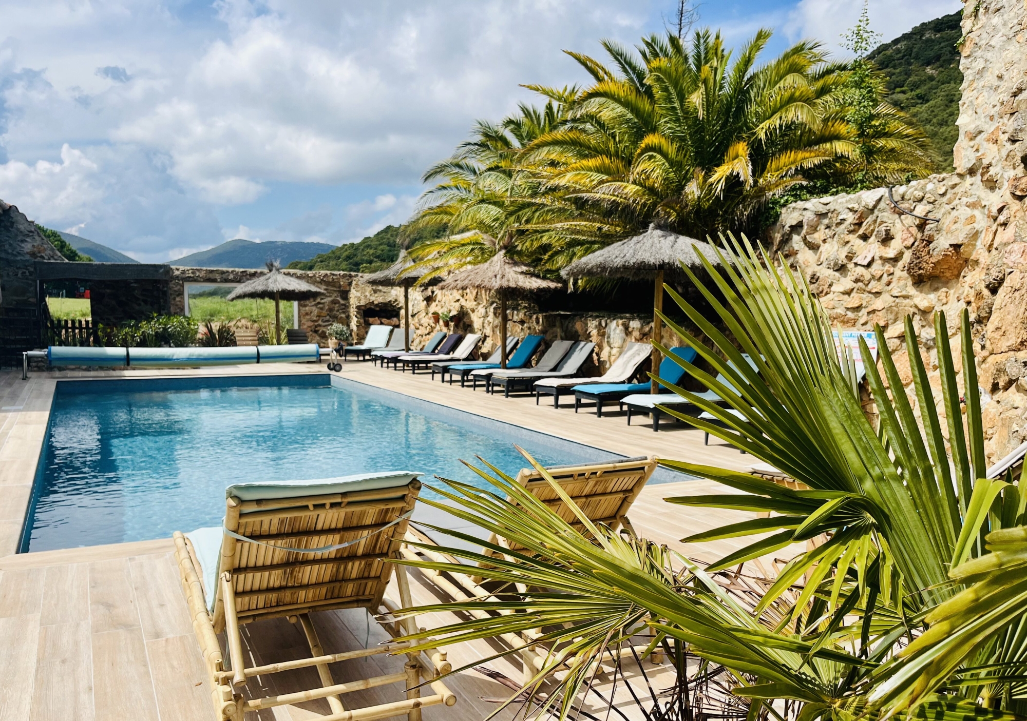 Plongez dans la piscine rafraîchissante du Mas Picagnol