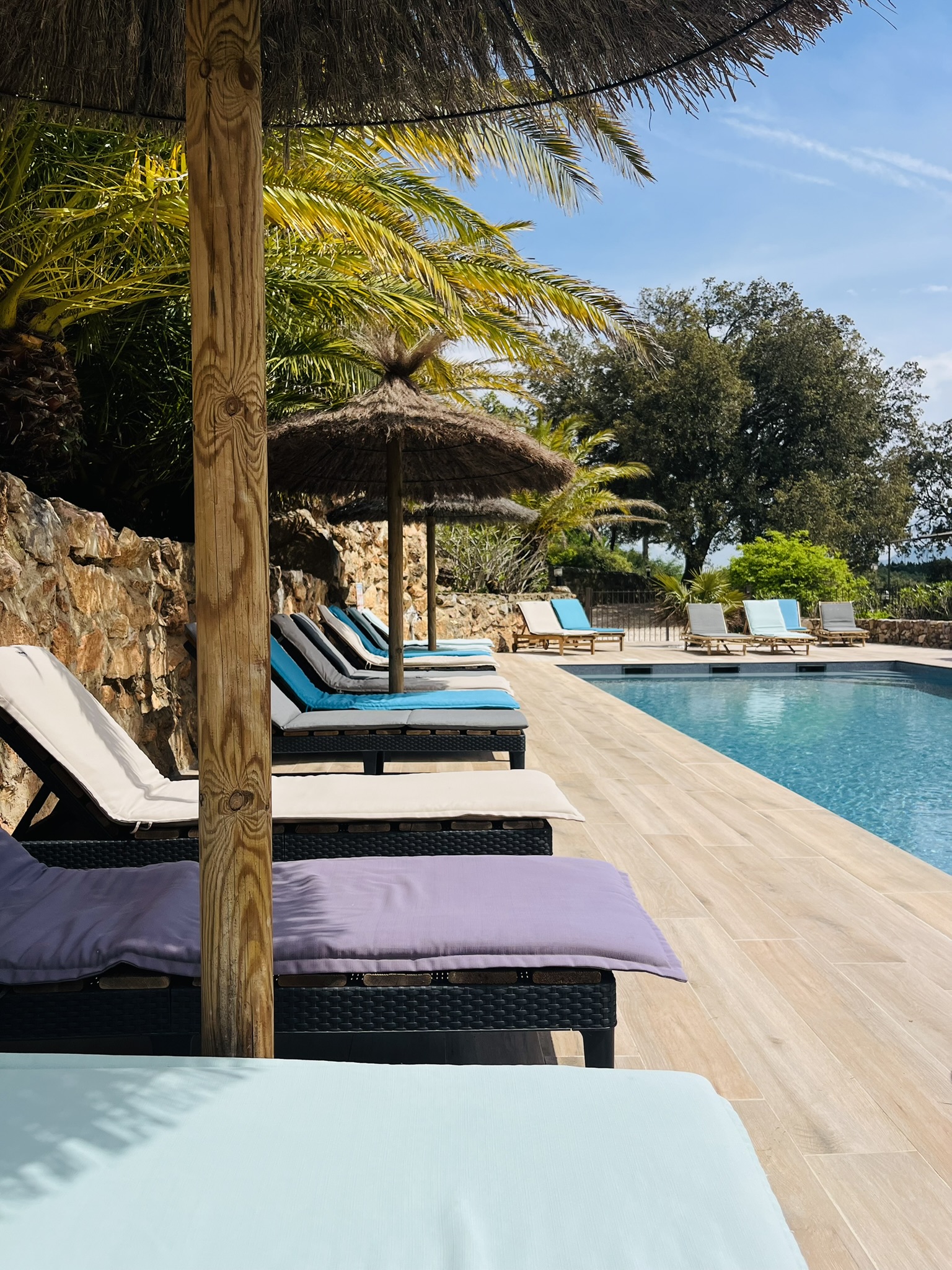 Nouvel espace aquatique au Mas Picagnol