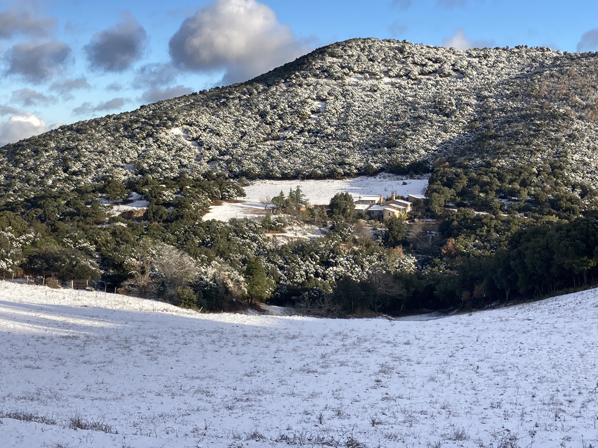 Vue du Mas Picagnol sous la neige, niché au cœur des collines d’Oms dans les Pyrénées-Orientales, près de Céret, idéal pour un séjour de Noël chaleureux en pleine nature.